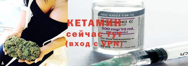 шишки Белокуриха