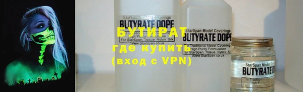 шишки Белокуриха