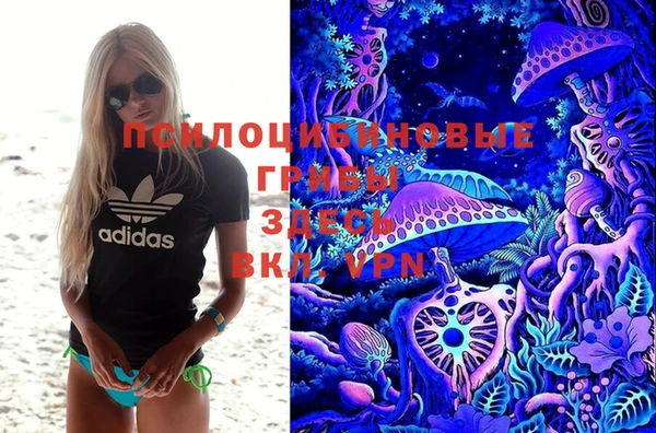 дурь Белоозёрский