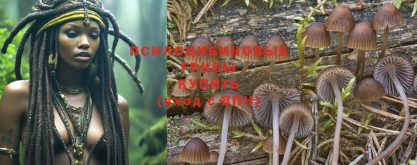 шишки Белокуриха