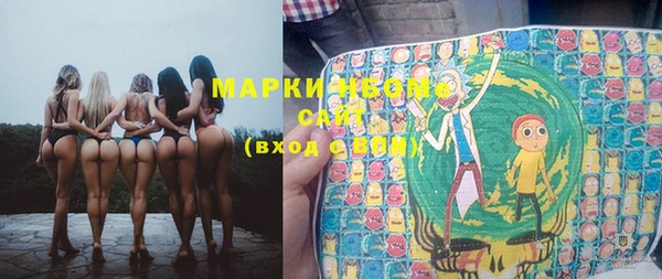 шишки Белокуриха