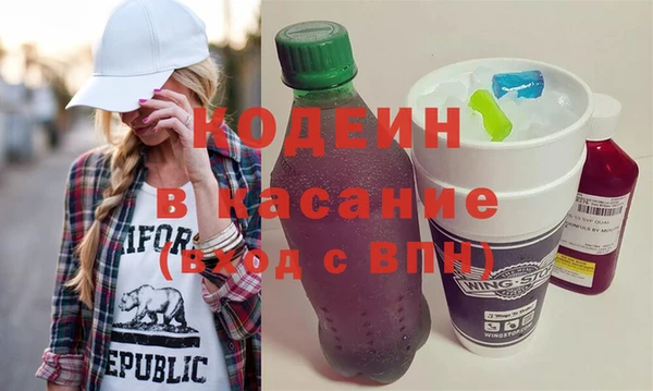 шишки Белокуриха