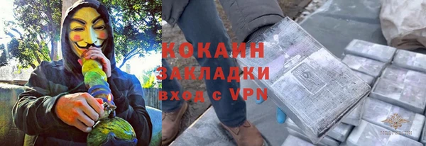 шишки Белокуриха
