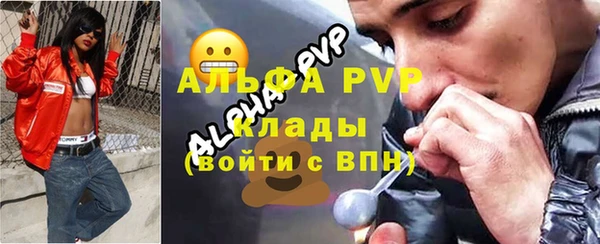 шишки Белокуриха
