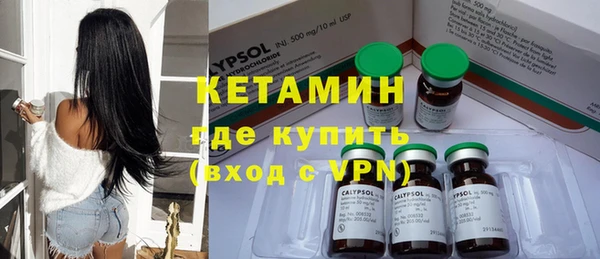 шишки Белокуриха