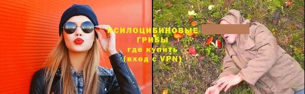 шишки Белокуриха