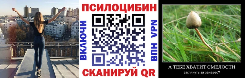 Галлюциногенные грибы MAGIC MUSHROOMS где найти Лыткарино